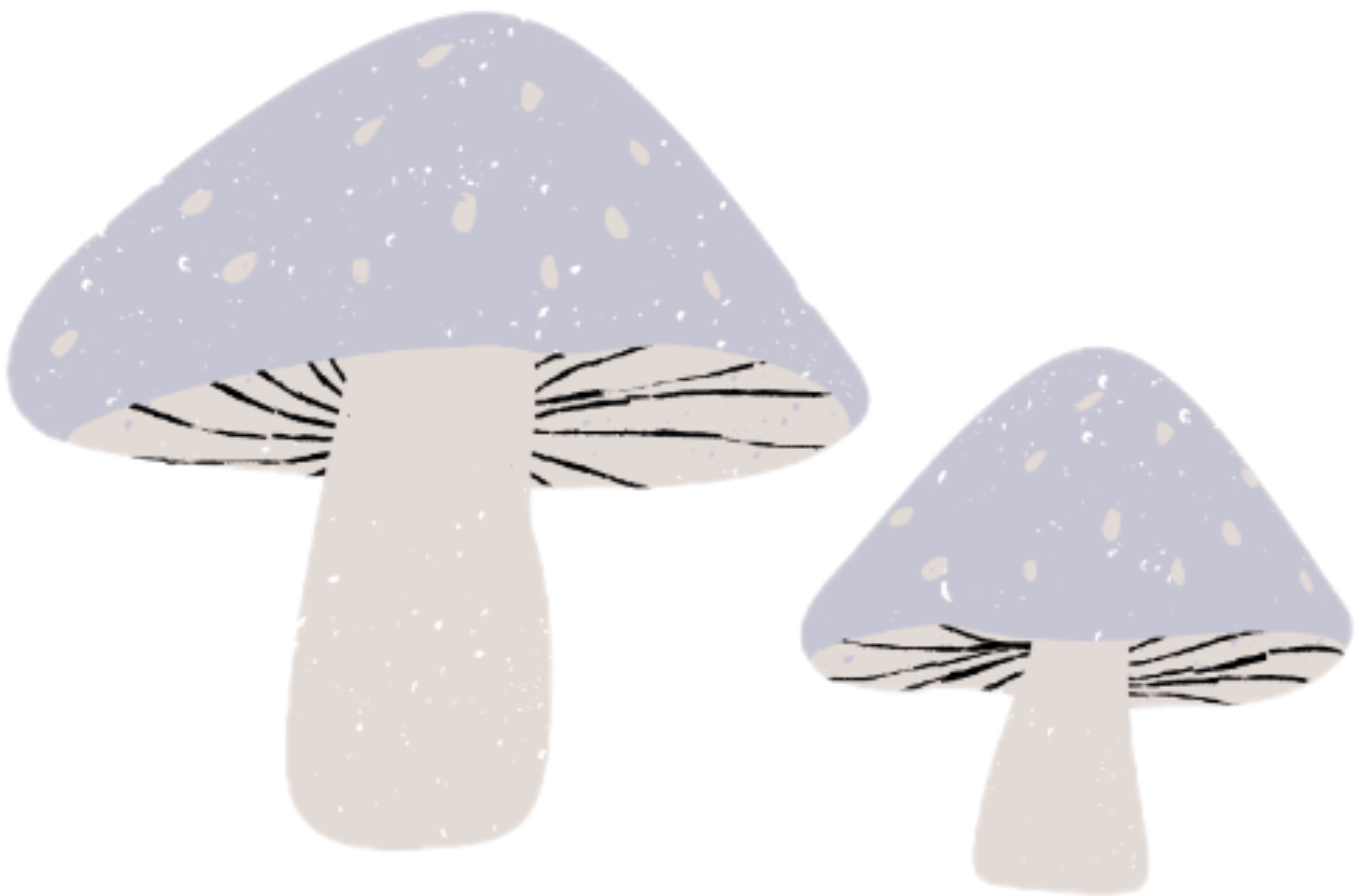 1000520225.png
