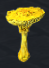 1629713790756.png
