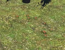 1661737445502.png