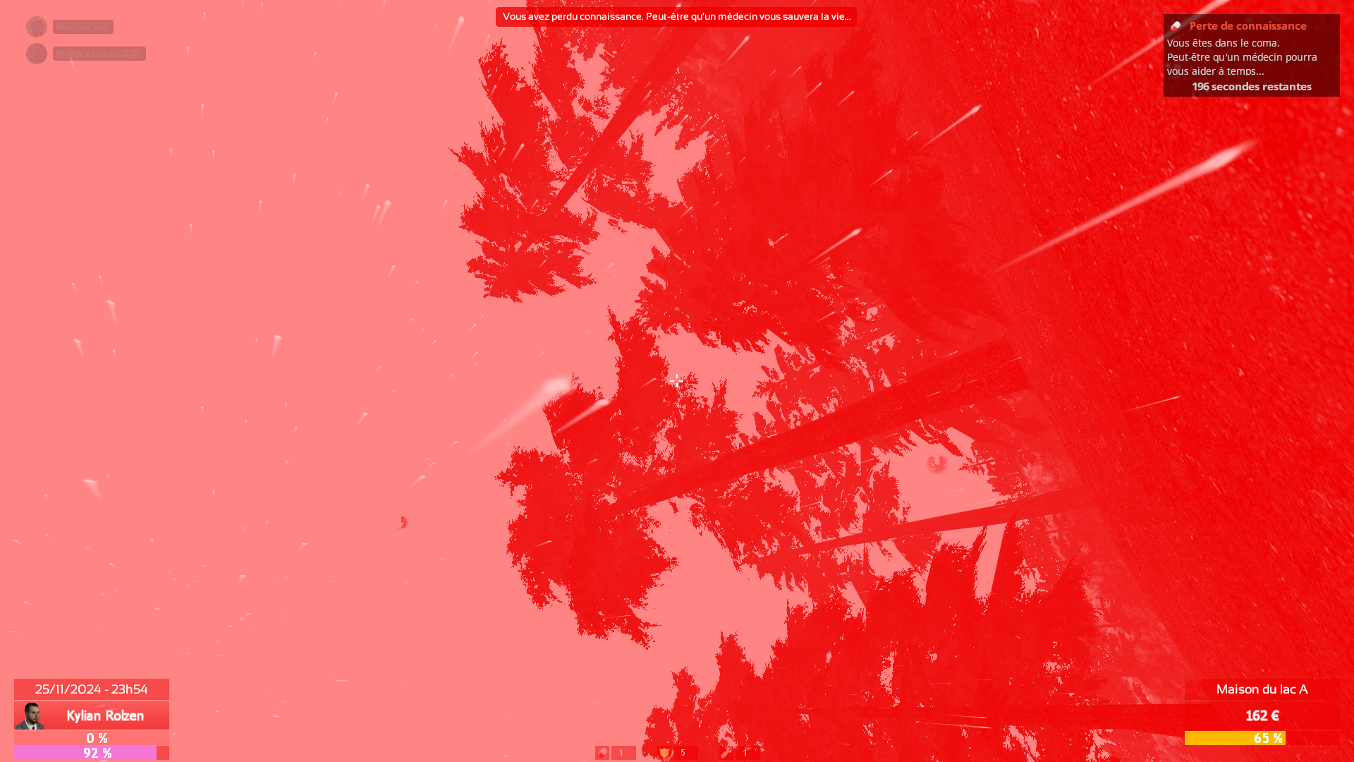 1732575352648.png