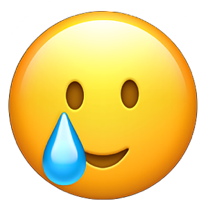 1741097647710.png