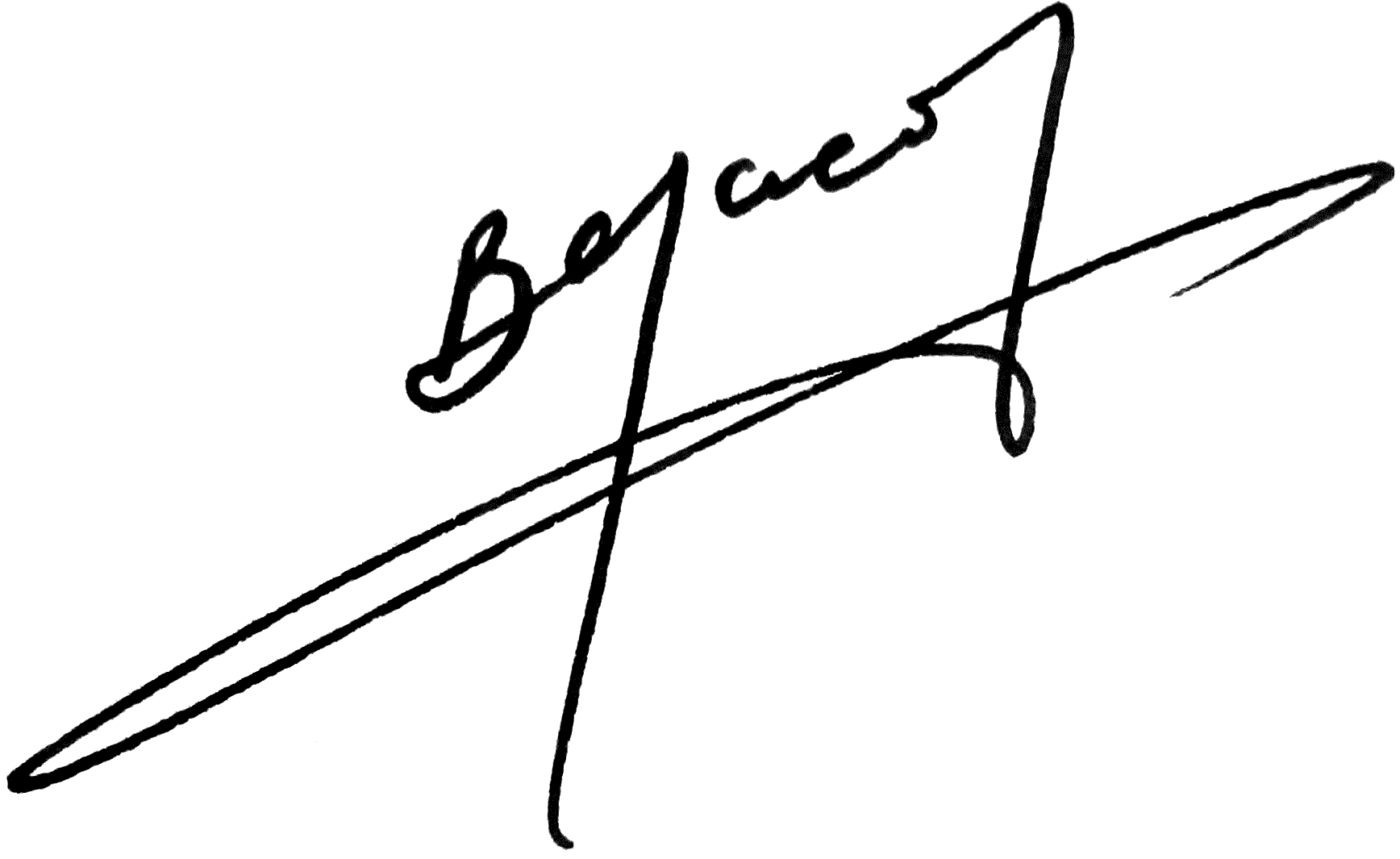 382363F3-603E-4D8F-AD09-9A5D3306ECA5.png