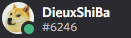 annimateur discord.png