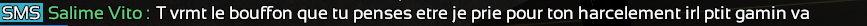 Capture d'écran 2024-06-08 224246.png