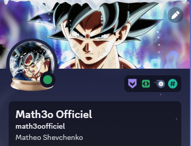 Discord - Profil - 02-01-24.png
