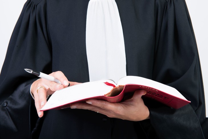 Environ-30-avocats-quittent-robedix-carriere_0_730_487.jpg
