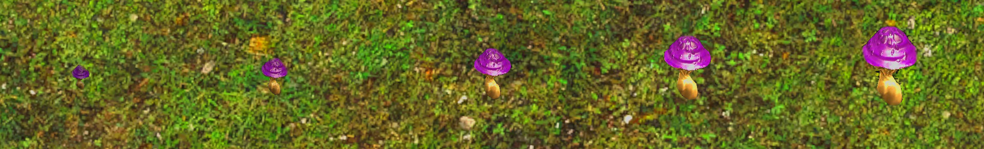 Miniature nocturne.jpg