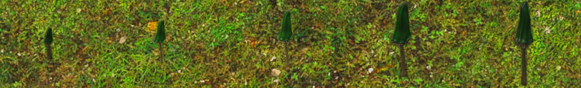 Miniature pleureux.jpg