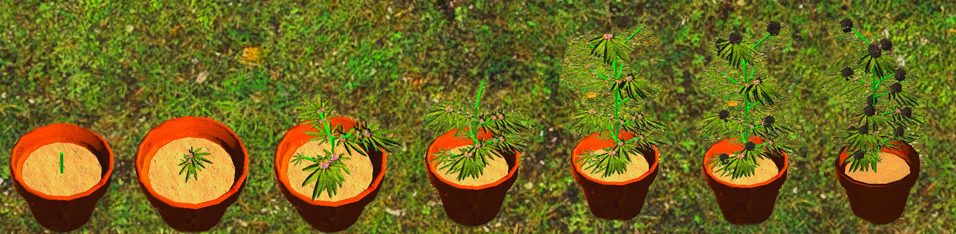 Miniature pot.jpg