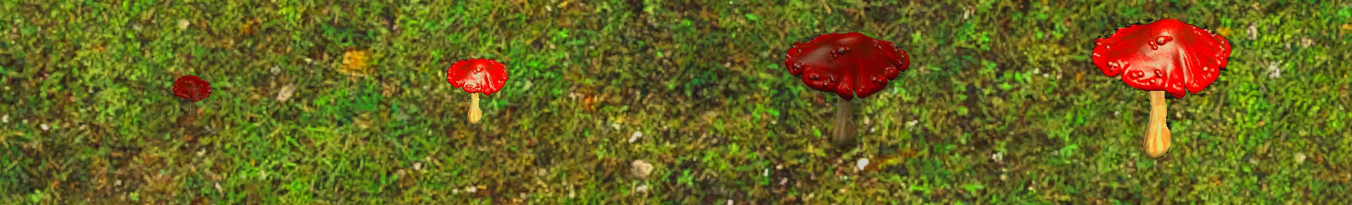 Miniature rouge.jpg