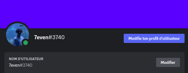 Mon compte _ Paramètres utilisateur - Discord 21_02_2023 20_08_18.png