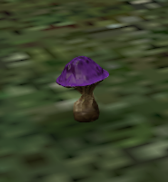 Nocturne.png