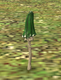 Pleureux.png