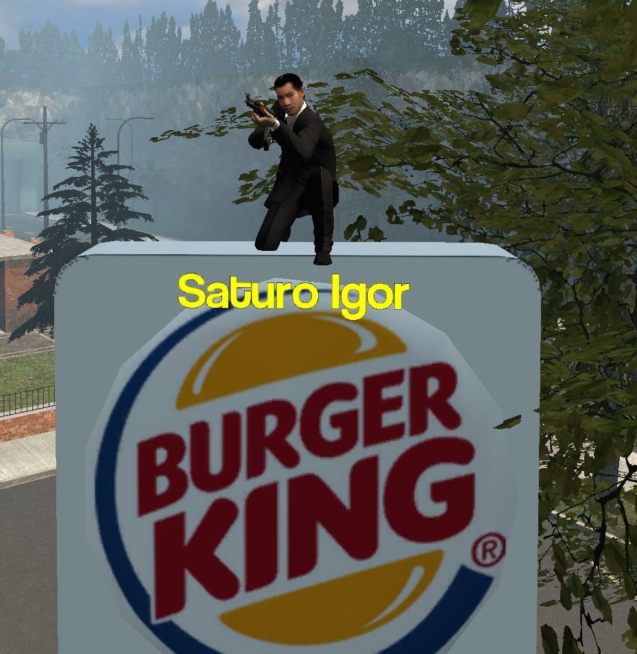 rp_pinescity_simple_v1b0038.jpg