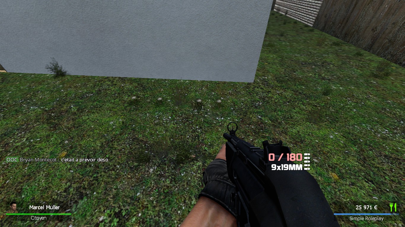 rp_pinescity_v2b0009.jpg