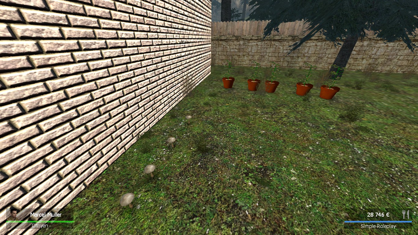 rp_pinescity_v2b0010.jpg