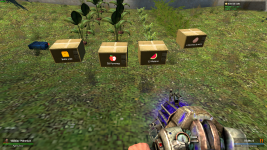 fruit 1.png