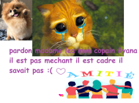 excuse publique.png