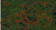 Champie dde.png
