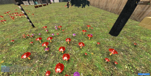 01-08-2023_Farm.png