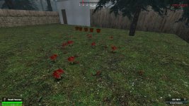 rp_pinescity_simple_v1b0013.jpg