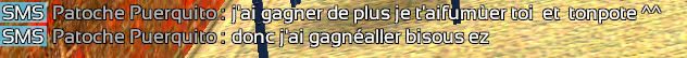 Capture d'écran 2024-03-23 220350.png