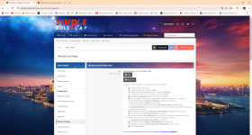 Membre privilège _ Simple Roleplay - Google Chrome 2024-06-20 20_15_42.png