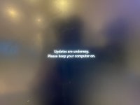 IMG_2248.jpeg