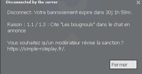 Capture d'écran 2024-07-23 040531.png