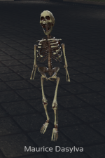 pseudo.png