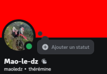Capture d'écran 2024-07-30 113610.png