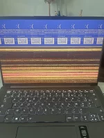 crash srp.webp