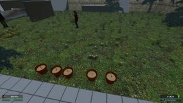 rp_pinescity_v2b0011.jpg