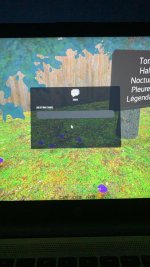IMG_0534.jpeg