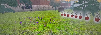 IMG_0500.jpeg