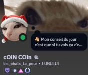 1735764885741.png