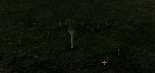 Capture d’écran 2025-01-16 184810.png