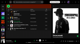 Spotify Free 21_12_2025 11_20_42.png