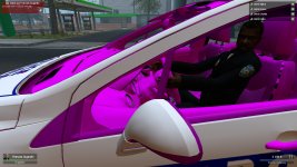 rp_pinescity_v2b0018.jpg
