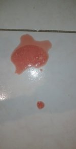 deliaaaa31_5f9e90de568e9.jpg
