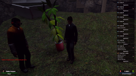 Capture d’écran (28).png