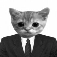 Gatito Siciliano