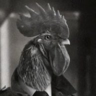 Vlad Morinzk