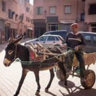 Mohamed Alami
