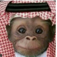 ham doulah
