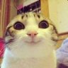 Idriss Couba