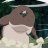 Ippo Tam
